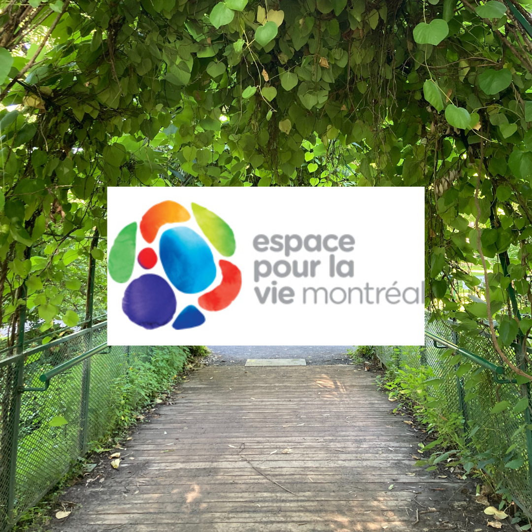 espace-pour-la-vie-florasie-festival-evenement-jardin-botanique-de-montreal